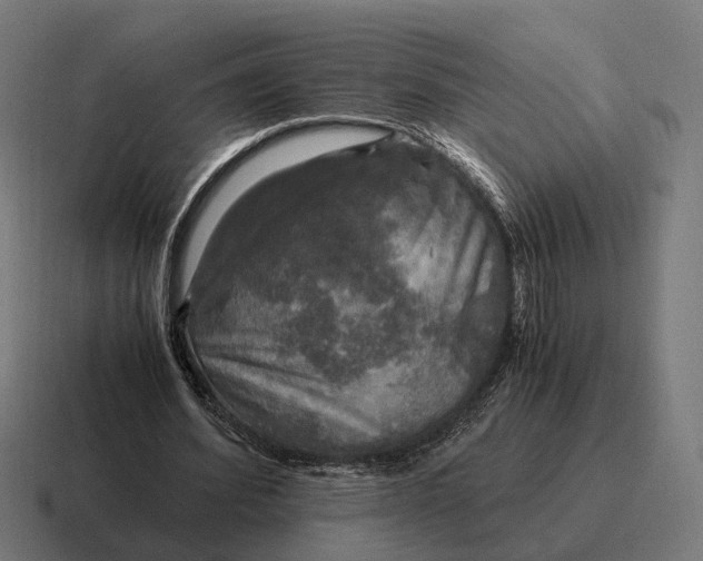 X0000116800580200912311938