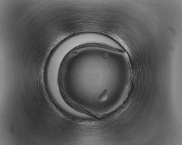 X0000116800581200912311938