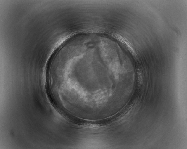 X0000116800582200912311938