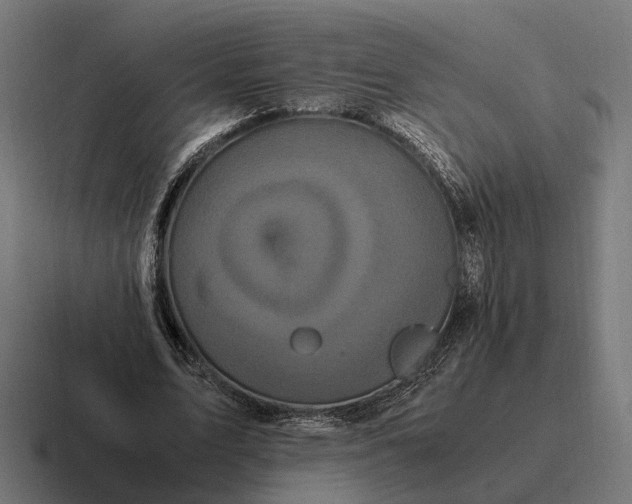 X0000116800583200912311938