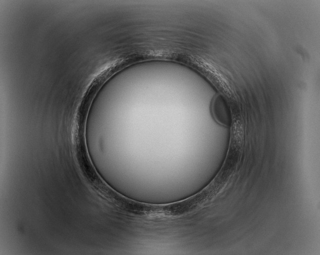 X0000116800587200912311938