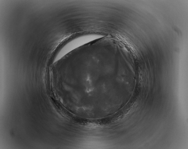 X0000116800592200912311938