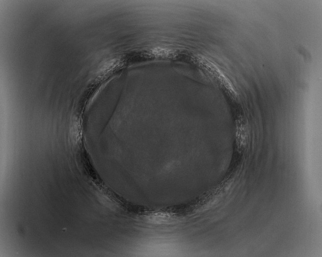 X0000116800593200912311938