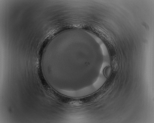 X0000116800595200912311938