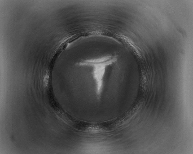 X0000116800596200912311938