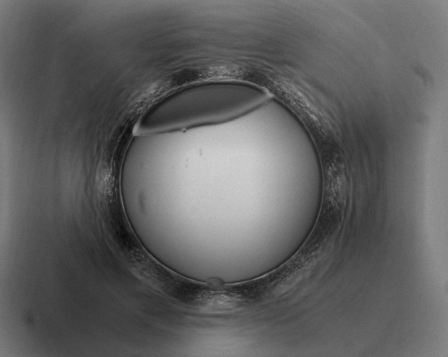 X0000116800597200912311938