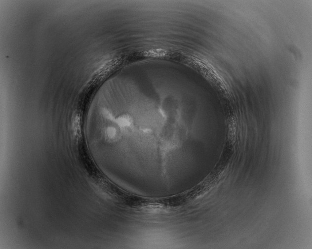 X0000116800598200912311938