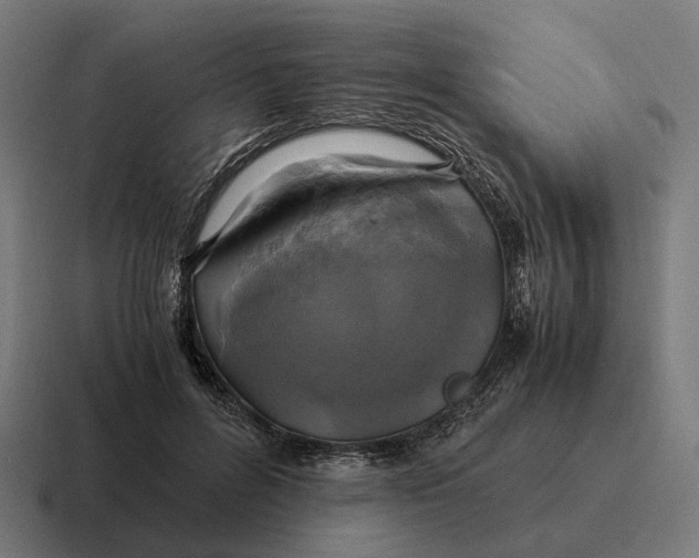 X0000116800600200912311938