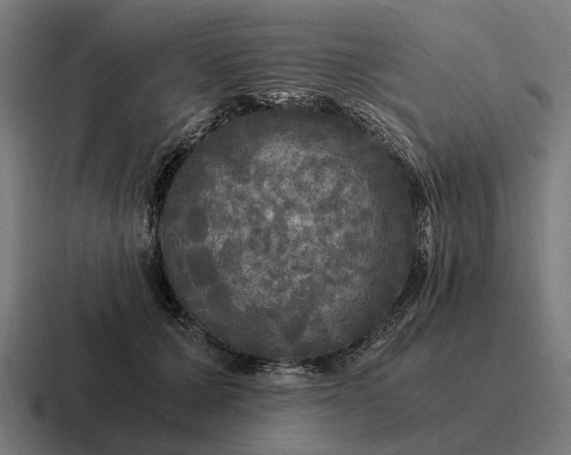 X0000116800607200912311937