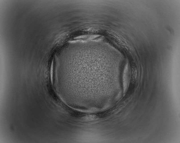 X0000116800609200912311937