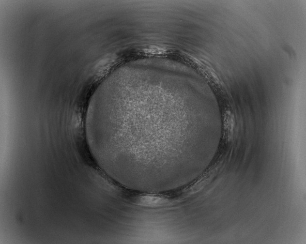 X0000116800614200912311937