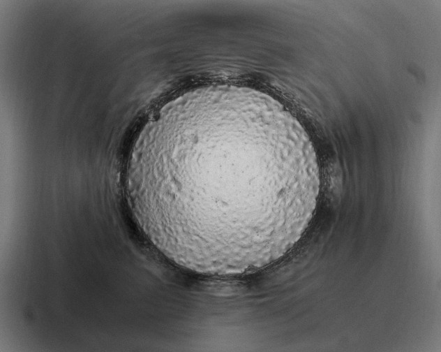 X0000116800615200912311937