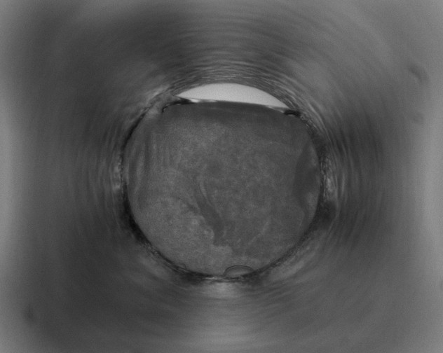 X0000116800620200912311937