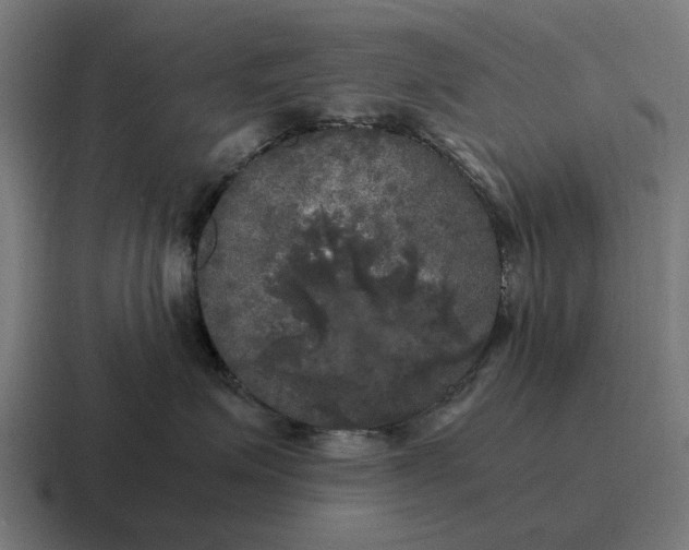 X0000116800623200912311937