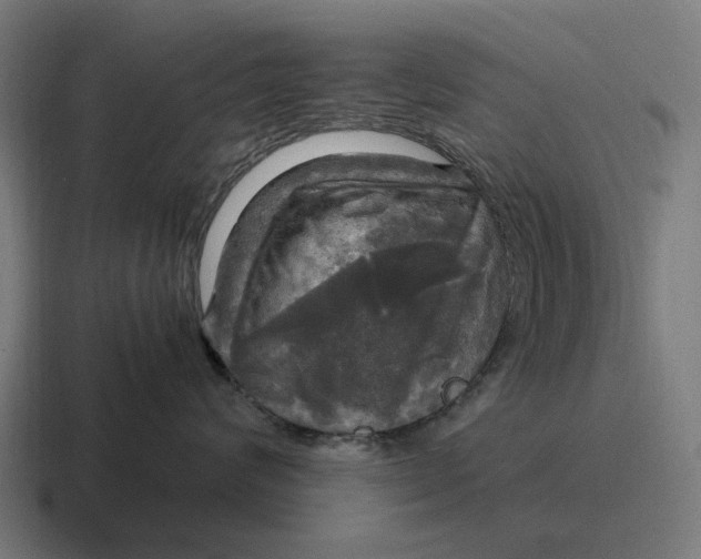 X0000116800624200912311937