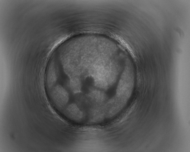 X0000116800625200912311937