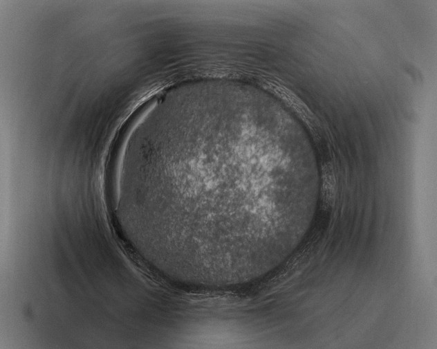 X0000116800626200912311937