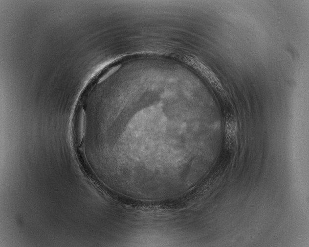 X0000116800628200912311937