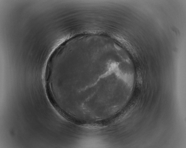 X0000116800630200912311937