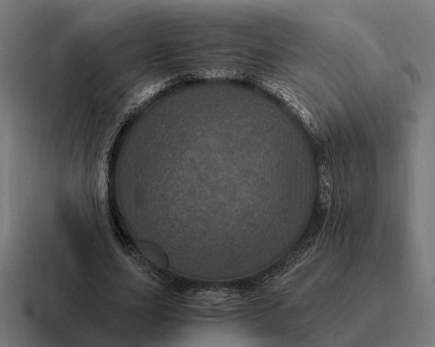 X0000116800631200912311937