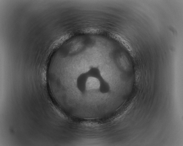 X0000116800633200912311937