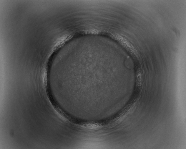 X0000116800638200912311937