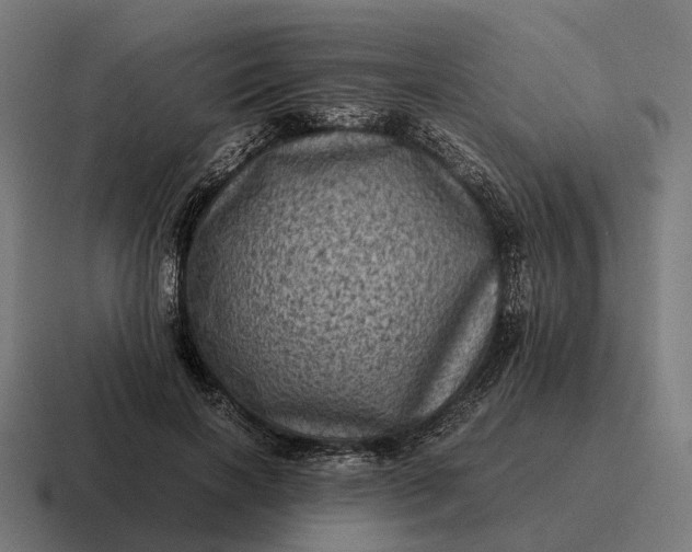 X0000116800646200912311937