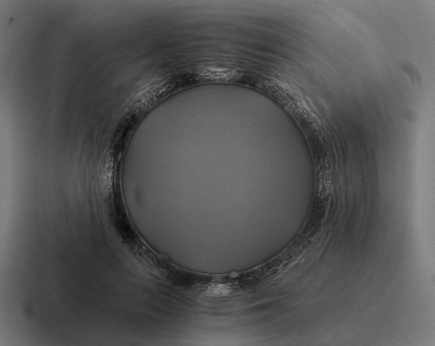 X0000116800647200912311937