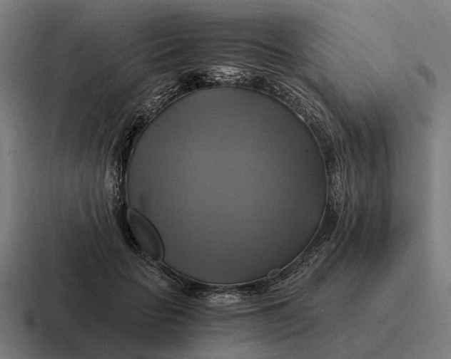 X0000116800653200912311937