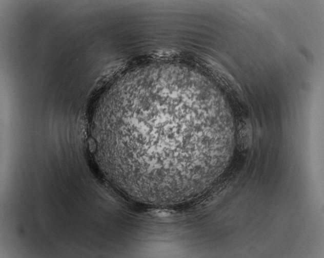 X0000116800654200912311937