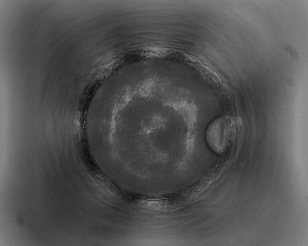 X0000116800655200912311937