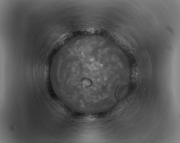 X0000116800656200912311937