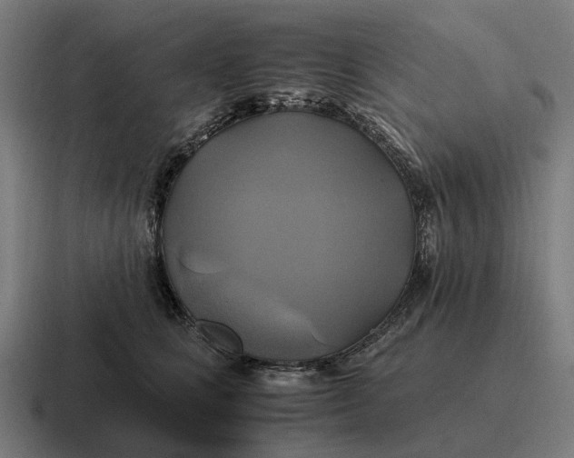 X0000116800661200912311937