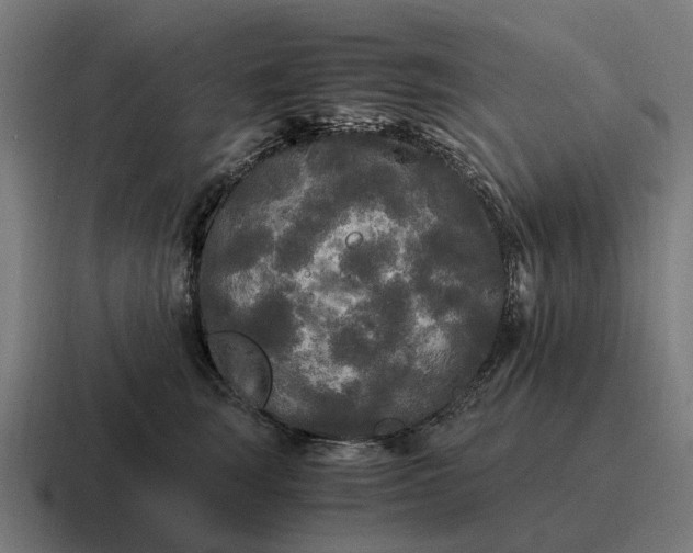 X0000116800663200912311937