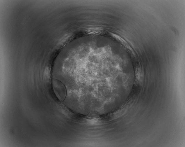 X0000116800667200912311937