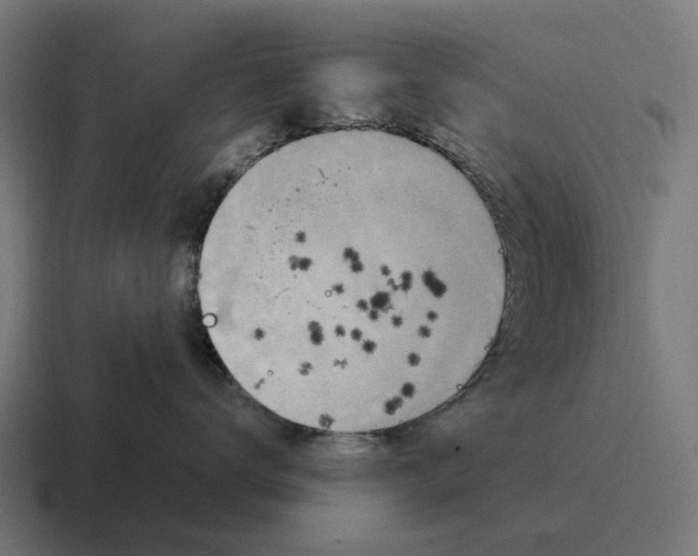 X0000116800672200912311937