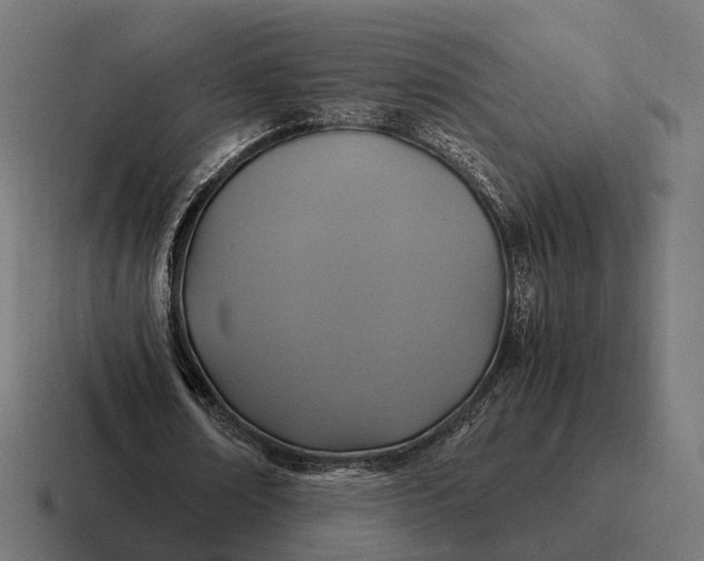 X0000116800674200912311937