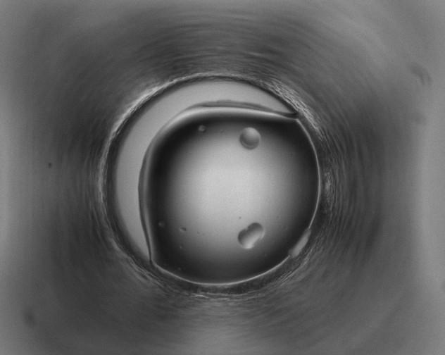 X0000116800676200912311937