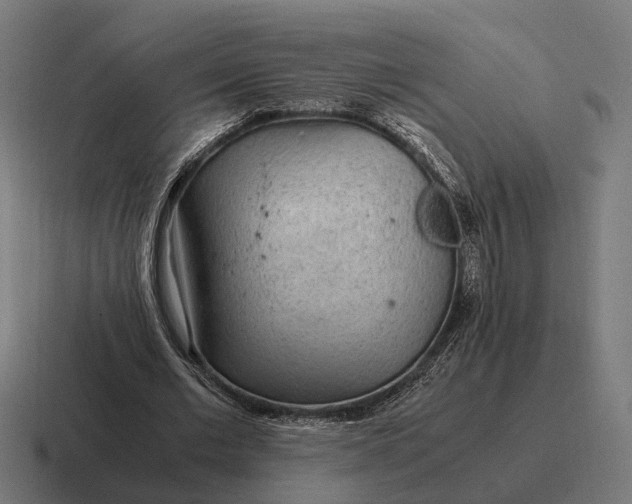 X0000116800677200912311937