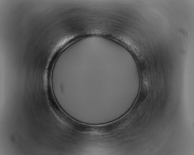 X0000116800678200912311937