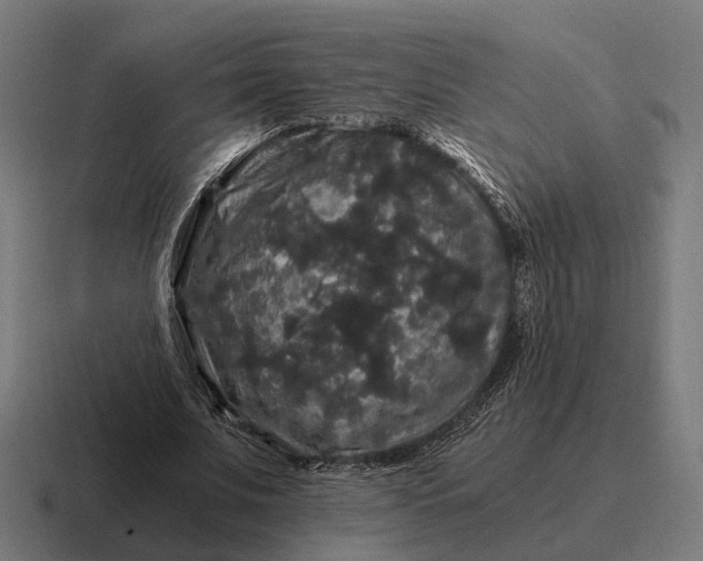 X0000116800679200912311937