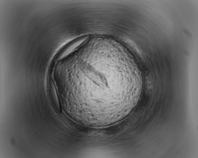 X0000116800680200912311936