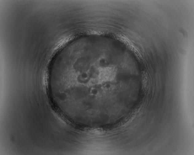 X0000116800683200912311936