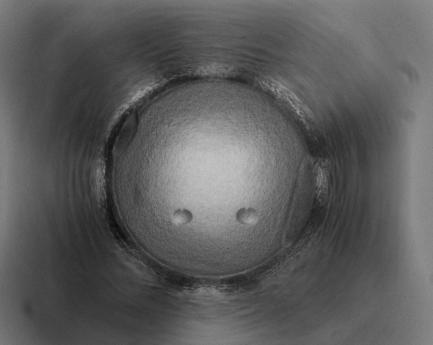 X0000116800684200912311936