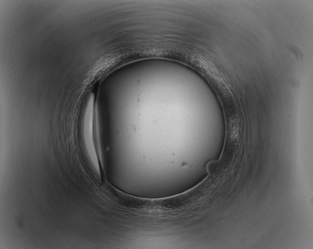 X0000116800685200912311936