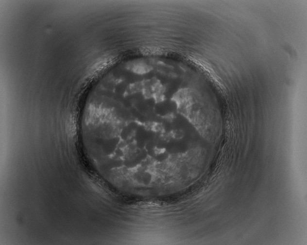 X0000116800687200912311936