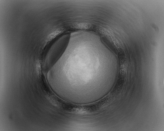 X0000116800688200912311936