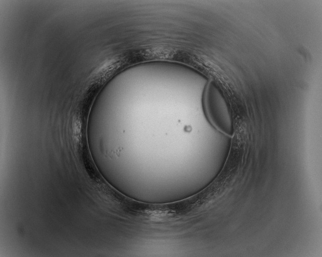 X0000116800693200912311936