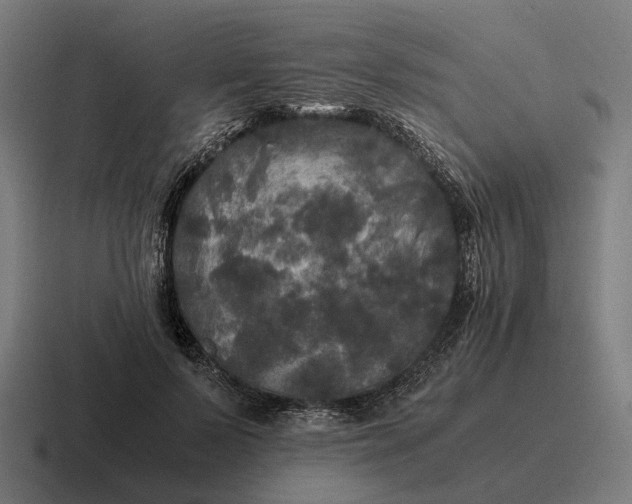 X0000116800695200912311936