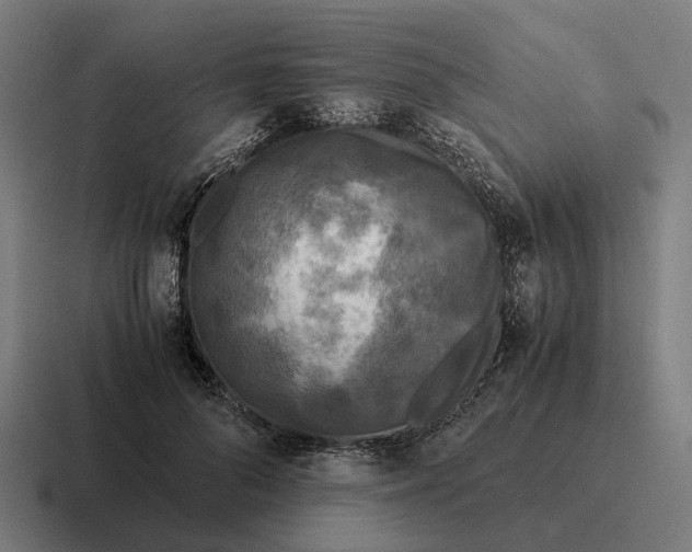 X0000116800696200912311936